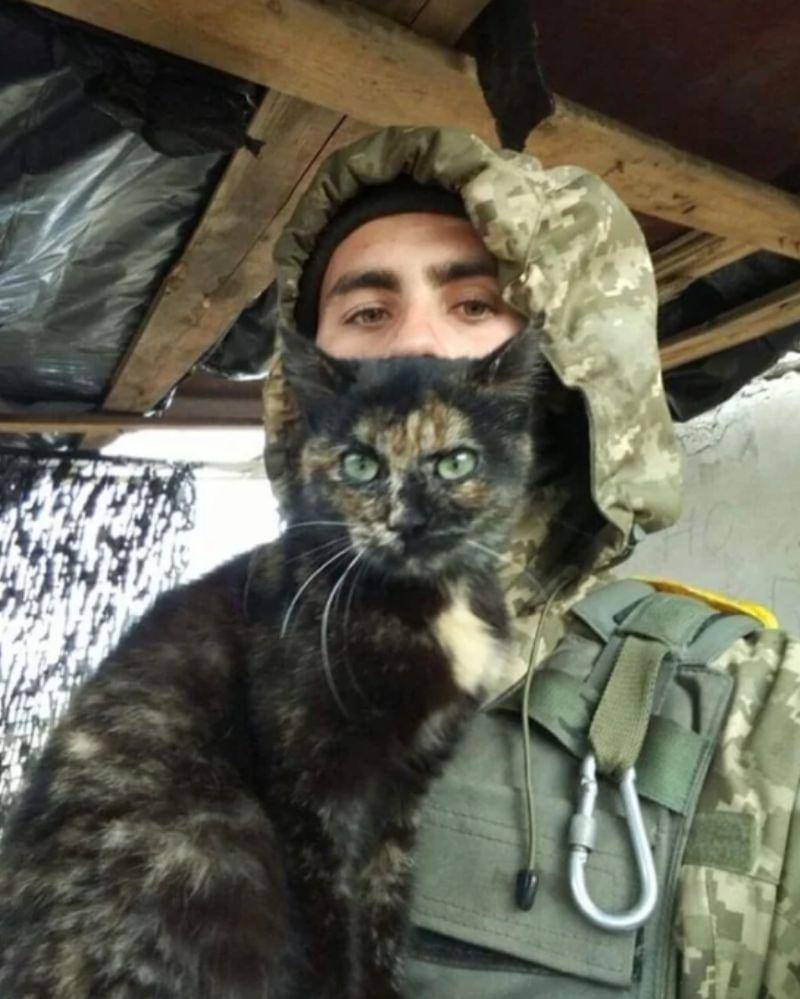 reddit.com/peacockspeacock)